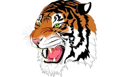 TransformContext - pan-zoom-svg-image